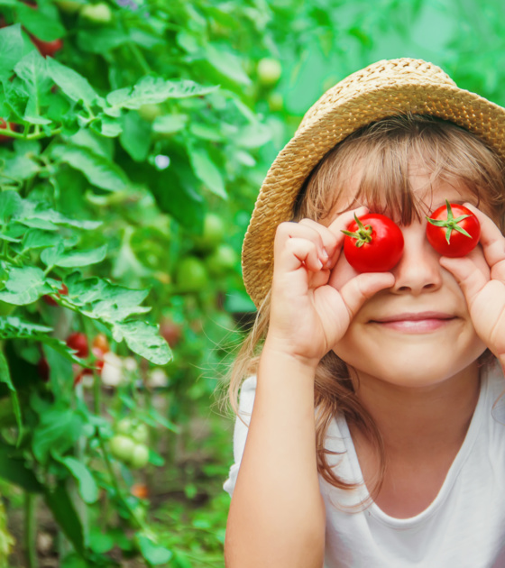 éducation alimentaire