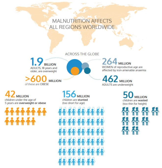 malnutrition dans le monde