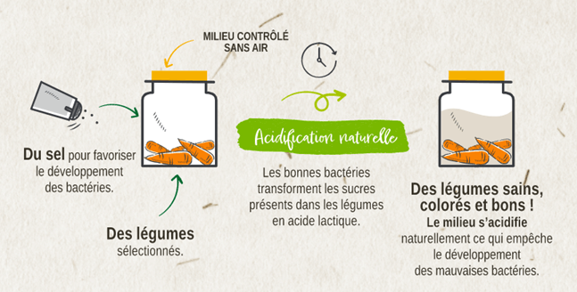 Plan de communication Nutriform